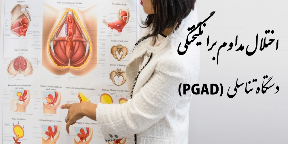 اختلال مداوم برانگیختگی دستگاه تناسلی (PGAD)