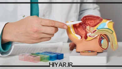 ظاهر آلت تناسلی مرد از چند قسمت تشکیل شده است