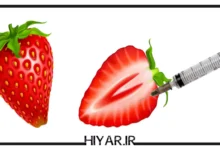 بهترین راه و روش برای تپل و چاق شدن واژن