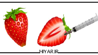 بهترین راه و روش برای تپل و چاق شدن واژن